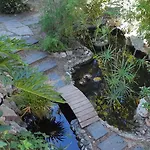 Tortuga Marbella