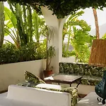 Tortuga * Marbella