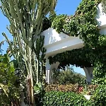 Villa Tortuga *