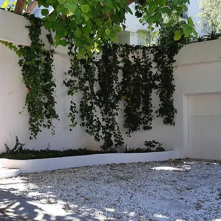 Tortuga Villa