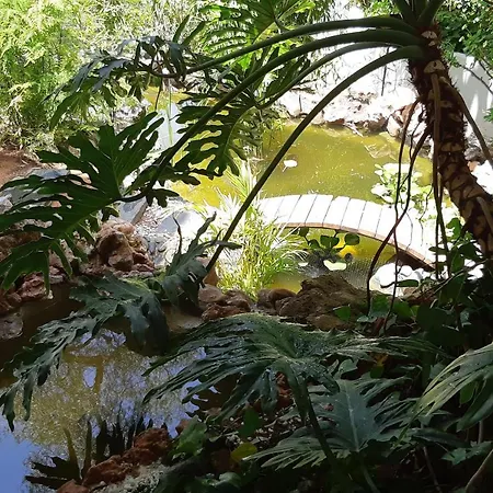 Villa Tortuga Marbella