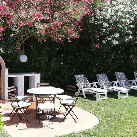 Tortuga Marbella