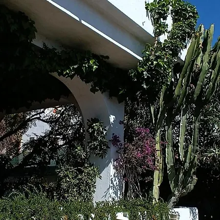 Tortuga Villa *