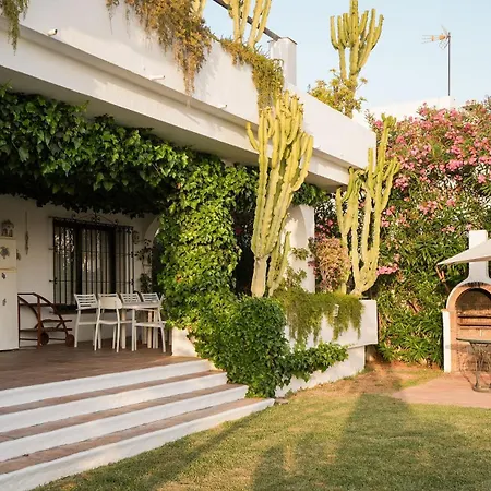 Tortuga * ماربيا