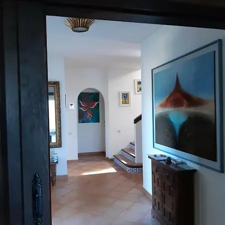 Tortuga * Marbella