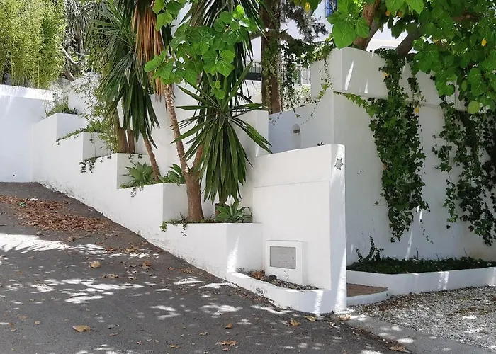 Tortuga Marbella